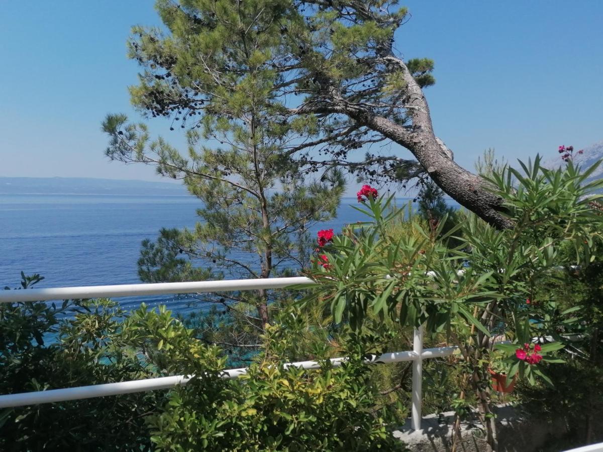 Apartmani Mares - 20 M From The Beach Брела Екстер'єр фото