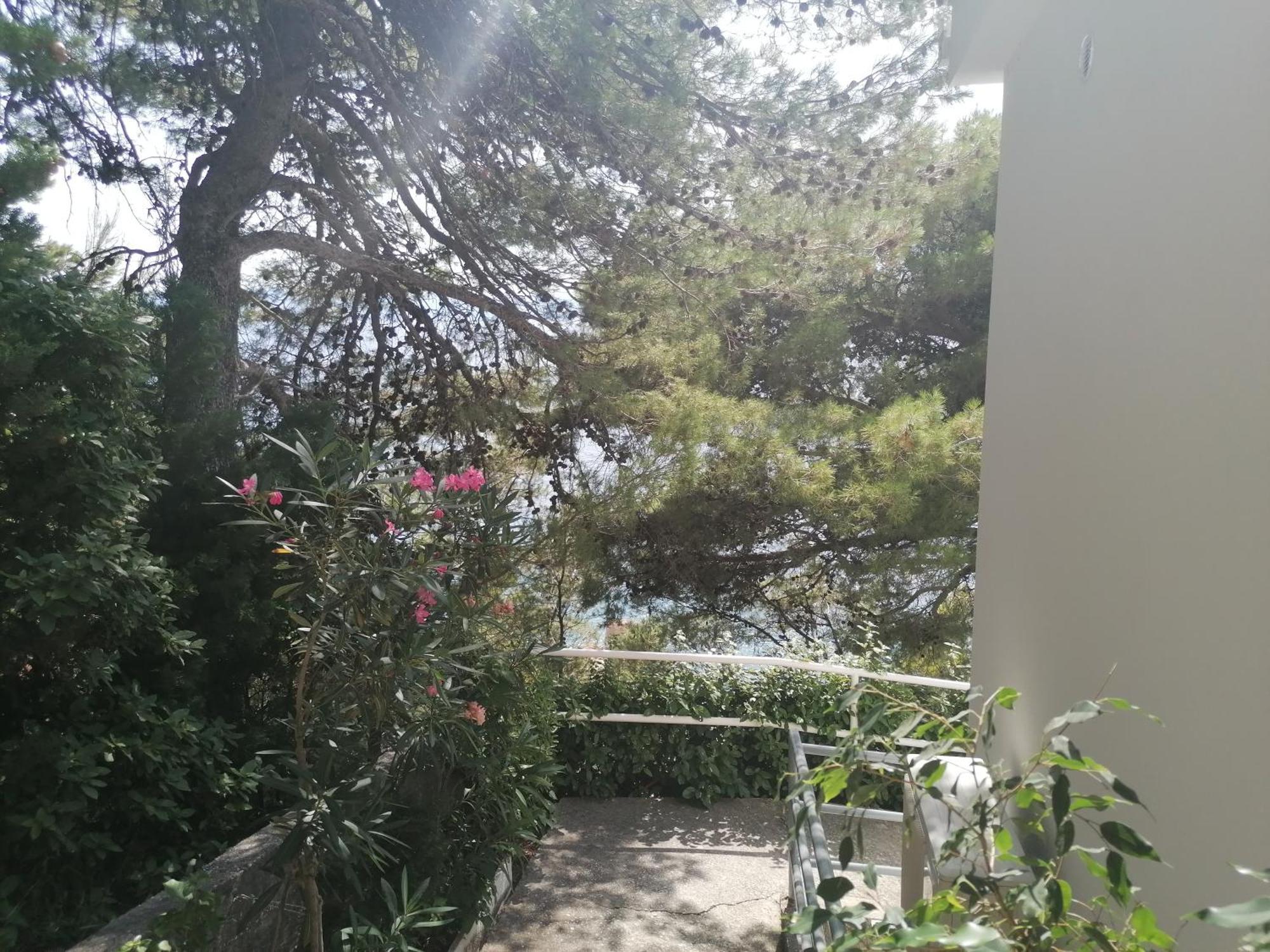 Apartmani Mares - 20 M From The Beach Брела Екстер'єр фото